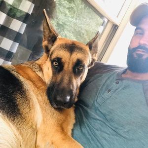 Meet your Posher, Joe